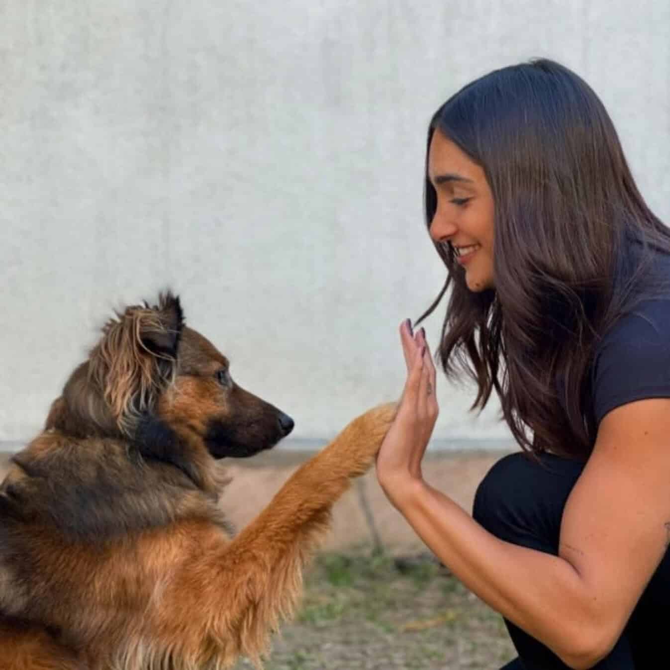 simba dando patita