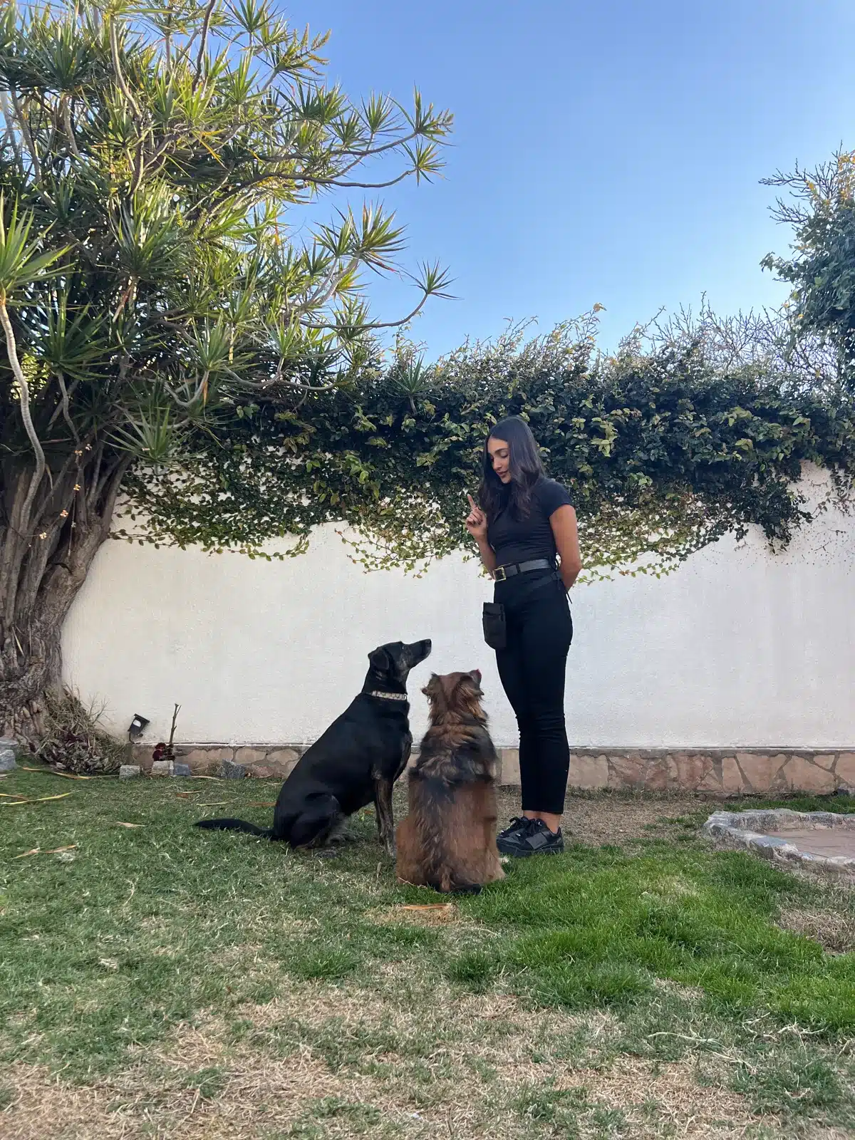 Lule acompañando una práctica de educación canina