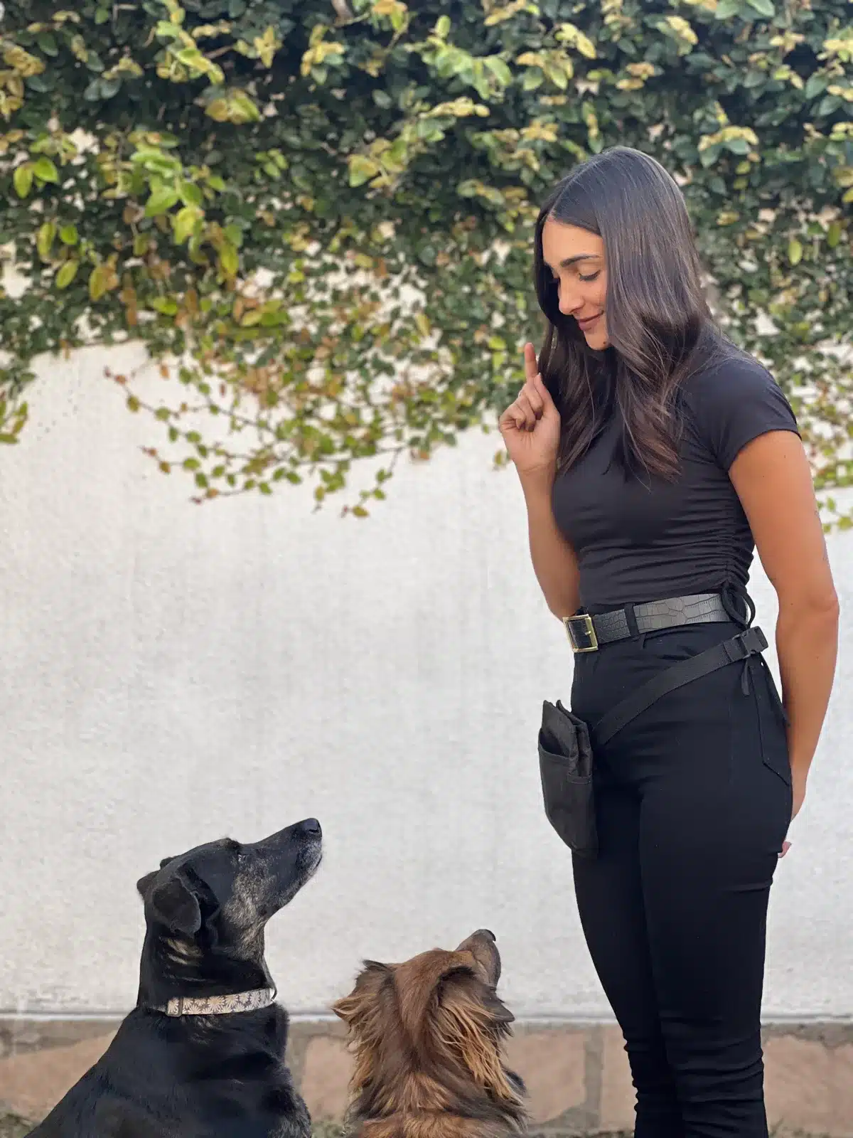 Lule trabajando con Simba y Marga durante una práctica de educación canina