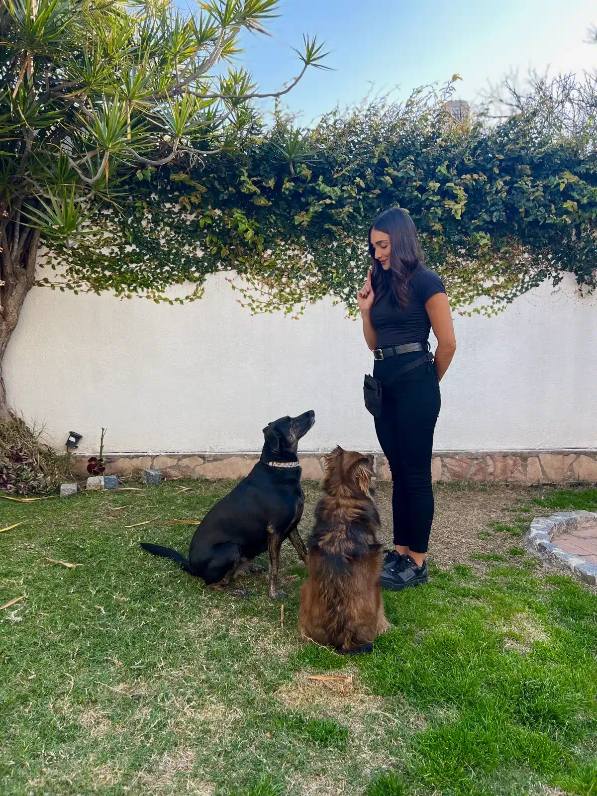 Lule guiando una práctica con dos perros