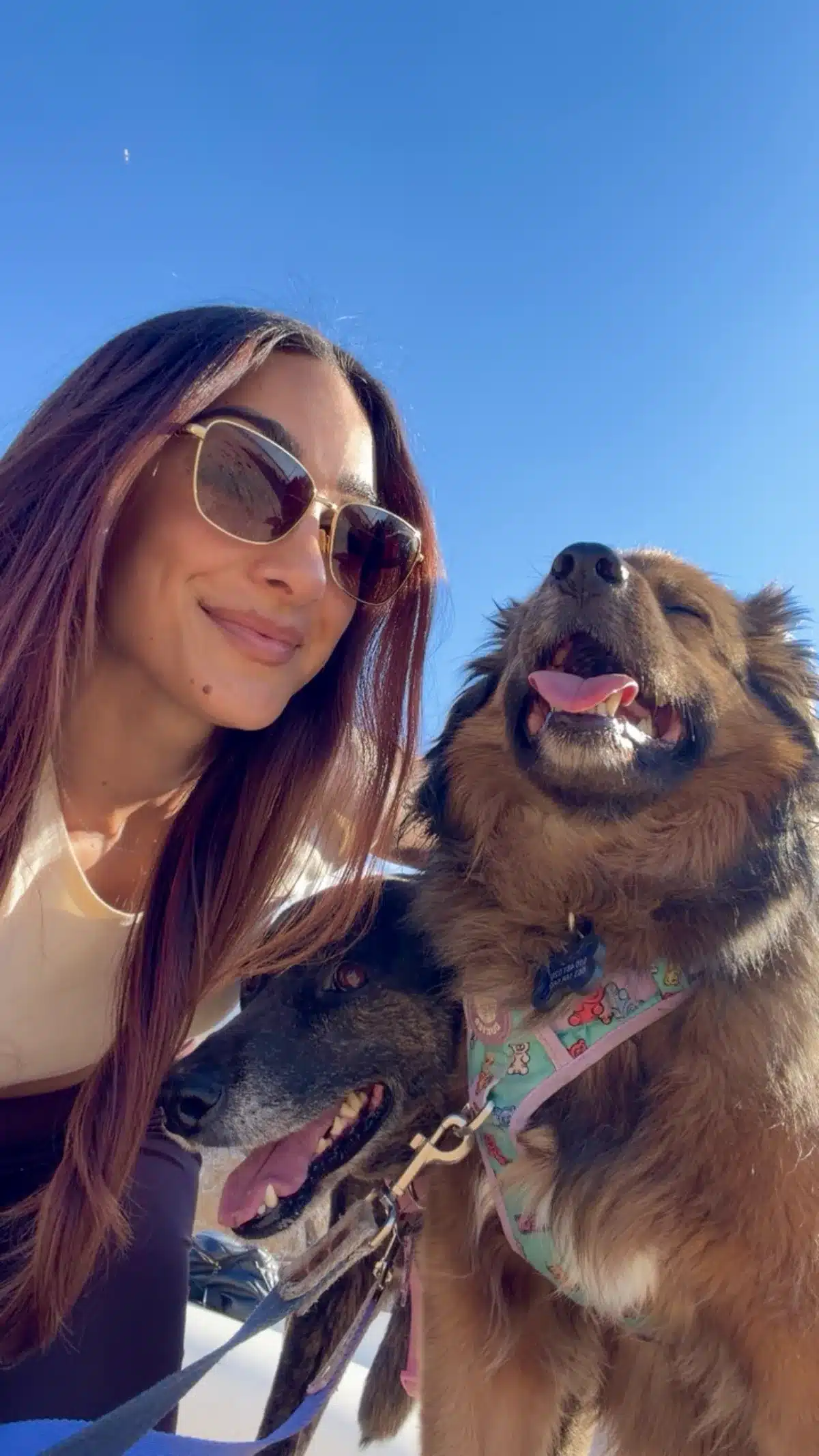 Lule junto a Simba y Marga